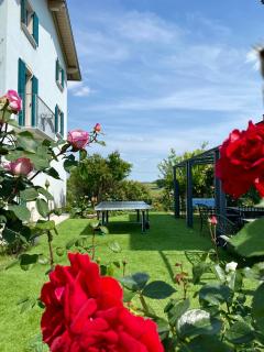 ROSETO HOLIDAYS AZZURRO - Cavalcaselle - 8