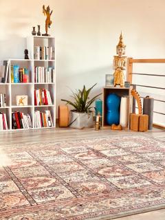 Chambre hotes moderne Parc des expositions Bourget Villepinte avec jardin et ambiance calme - Le Blanc-Mesnil - 6