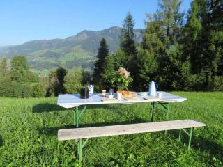 Schernthaner Comfortable holiday residence - Taxenbach - 7