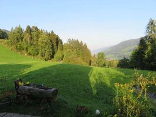 Schernthaner Comfortable holiday residence - Taxenbach - 1