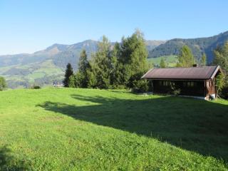 Schernthaner Comfortable holiday residence - Taxenbach - 5