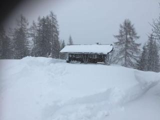 Schernthaner Comfortable holiday residence - Taxenbach - 9