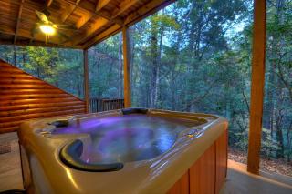 Castle Creek Hot tub nearby creek gas fireplace - Cherry Log - 0