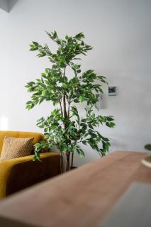 Apartman Alisa Toplice Sveti Martin - Grkavešćak - 6
