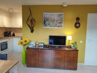 Holiday Home Nieuwendamme - 6