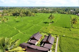 Mathura Ubud - Ubud - 5
