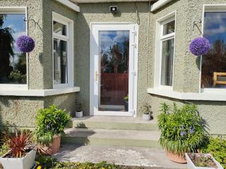 Hidden Hearts Apartment & Hottub - Roscrea - 4