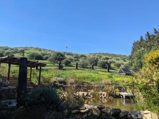 Home stay en finca rural - Tarifa - 2
