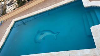 Cariad Boutique Bed & Breakfast - La Cala del Moral - 3