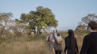 Mdluli Safari Lodge - Hazyview - 2