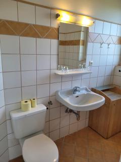 Landhaus Pension Jany - Bad Tatzmannsdorf - 8
