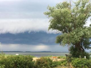 Fewo-Strandhaus-Wiek-direkt-am-Wasser-mit-herrlichen-Weitblick - Wiek auf Rügen - 2