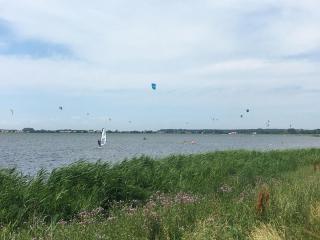 Fewo-Strandhaus-Wiek-direkt-am-Wasser-mit-herrlichen-Weitblick - Wiek auf Rügen - 1