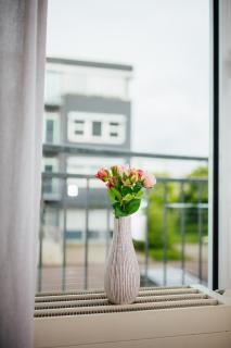 MAGNET Boardinghouse - 2