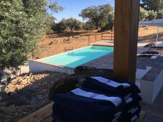 Almojanda 3 olive tree - 1