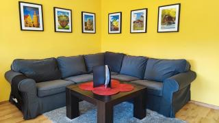 Róża Południa - 7