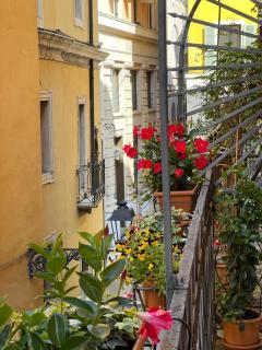 FLORES HOME - Verona - 8
