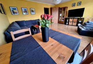 Róża Południa - 6