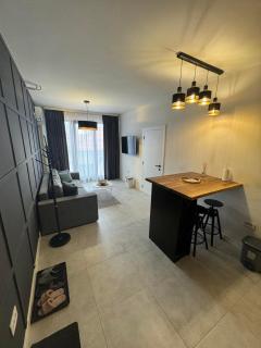 Apartmani Novi Sad SM51 4 - Novi Sad - 8