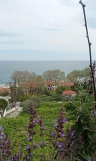 Kiwi stonehouse - 6