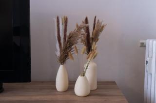 Delia's Vatican House Near St Peter's - Rom - 3