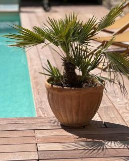 LE DOMAINE DE FERRAT - Mirambeau - 1