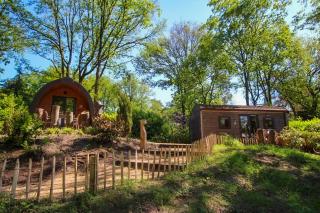 Wood Cabin 2 personen - Baarle-Nassau - 0
