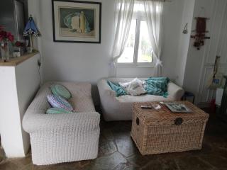 Open & Swim House - Nea Makri - 7