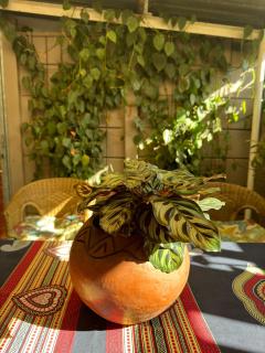 Open Room Comfort - 6