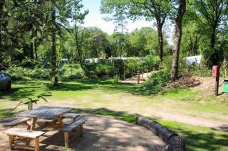 Wood Cabin 4 personen - Baarle-Nassau - 7