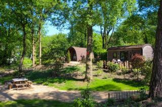 Wood Cabin 4 personen - Baarle-Nassau - 8