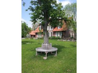 Stille hoeren - Zehna - 7