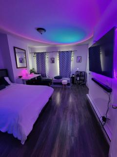 Serene Oasis Suite with private bathroom - Newark - 0