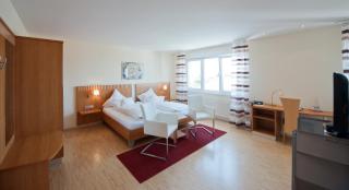 Hotel Am Froschbächel - Bühl - 7