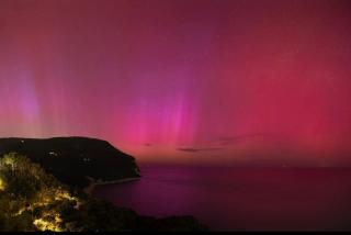 Camera Vista Mare Sunrise-Top Panorama-Only Adults - Sirolo - 1