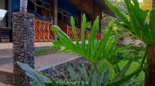 Blue Mountain Cottage - Senaru - 3