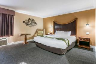 Quality Inn & Suites Atlanta Airport South - Atlanta - 7