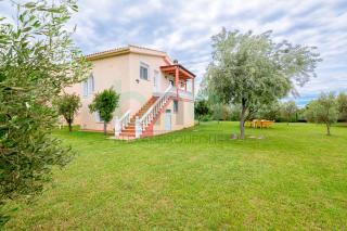''Olive Tree Resort'' - Dhíkella - 4
