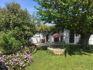 villa pres des dunes - La Couarde-sur-Mer - 9