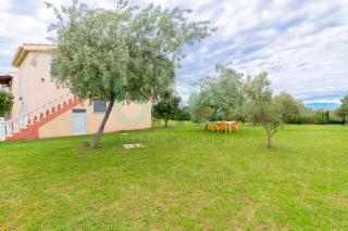 ''Olive Tree Resort'' - Dhíkella - 7