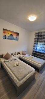 Aniiza Apartman 2 - Örvényes - 1