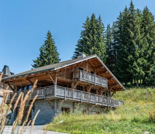 NOUVEAU! Chalet Eagle, skis aux pieds - Les Gets - 0
