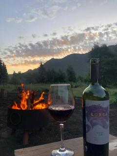LA PAMPITA Bariloche - Bariloche - 0