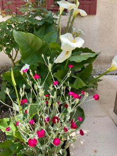 LE CLOS DU BENESTAR - 5