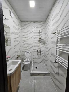 Urban hotel Tsalenjikha - 2