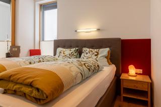 Aparthotel DAS Hochkönig - Ramsau am Dachstein - 8