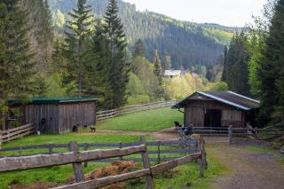 Frein Chalets - Kaltenbach - 1