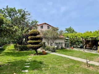 Summer house - 2