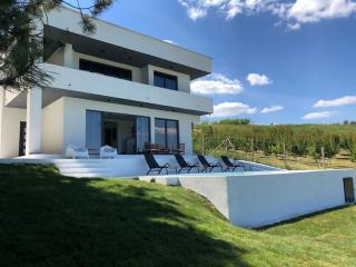 Cheerful 3 bedroom villa with pool in nature - Novi Sad - 0