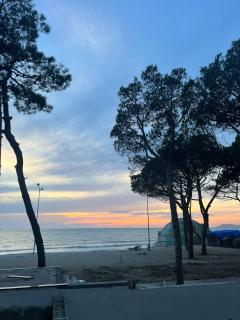 Alexander Resort - 3